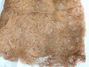 Cocosheet serat fiber alami